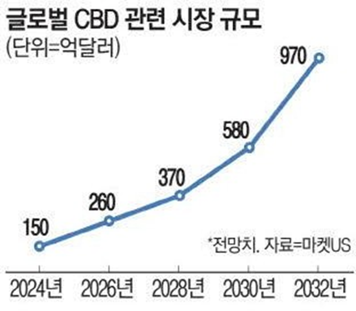CBD 시장 성장 그래프