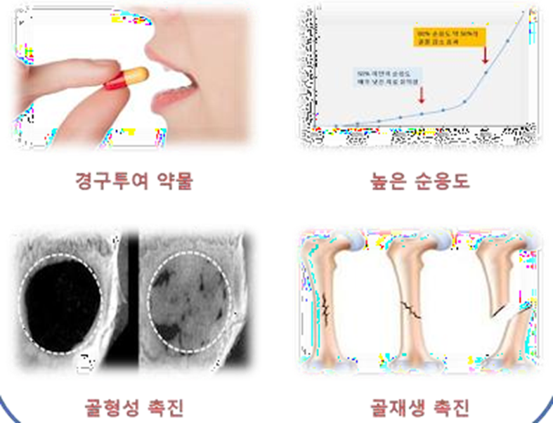 치주염, 뼈건강개선